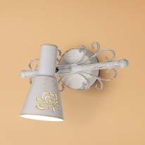 Фото Спот Citilux CL529512