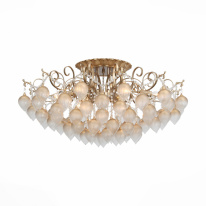 Фото Накладная люстра ST-Luce SL659.302.09