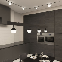 Купить с доставкой по Москве и России Светильник на шине Denkirs DK8055-BK