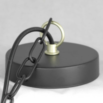 Купить с доставкой по Москве и России Подвесная люстра Lussole LSP-8198