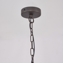 Цена на Подвесная люстра Favourite 4007-2P