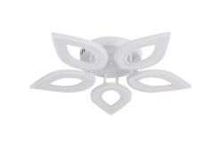 Фото Накладной светильник Natali Kovaltseva LED LAMPS 81123/5C