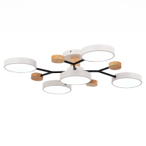 Цена на Люстра на штанге Evoluce SLE6006-502-05