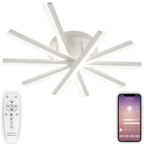 Фото Накладная люстра Natali Kovaltseva LED LAMPS 81171