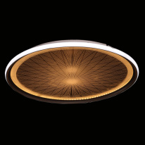 Купить Накладной светильник DeMarkt 660014001