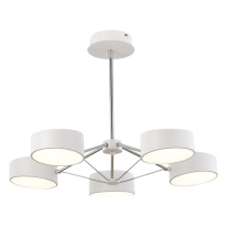 Фото Люстра на штанге Evoluce SLE6005-502-05