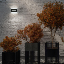 Купить Светильник настенный Novotech 359196