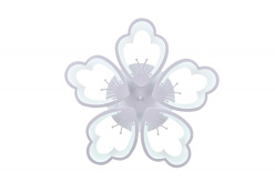 Купить с доставкой по Москве и России Накладная люстра Natali Kovaltseva LED LAMPS 81230