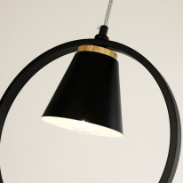 Цена на Подвесной светильник F-Promo 2938-1P