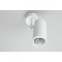 Цена на Спот Omnilux OML-102609-20