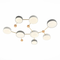 Купить Накладной светильник Evoluce SLE600102-08