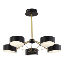 Фото Люстра на штанге Evoluce SLE6005-402-05