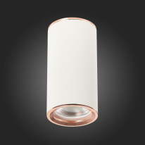 Купить Накладной светильник ST-Luce ST111.527.01