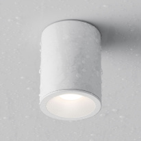Влагозащищенный светильник Maytoni Technical C029CL-01W Купить с доставкой по Москве и России Влагозащищенный светильник Maytoni Technical C029CL-01W