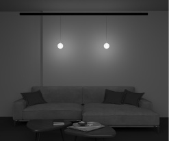 Купить с доставкой по Москве и России Светильник на шине Maytoni Technical TR039-4-5WTW-DD-B