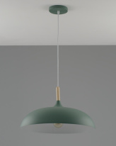 Купить с доставкой по Москве и России Подвесной светильник Moderli Moderli V10656-1P Hygo подвесной