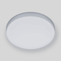 Купить с доставкой по Москве и России Накладной светильник Elektrostandard DLR043 10W 4200K