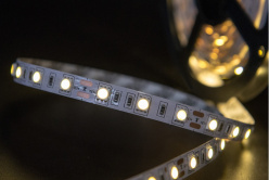 Лента SWG ECO-SWG560-12-14.4-WW в интернет магазине Гет Лайт