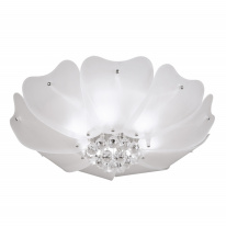 Накладной светильник Lightstar 804020 Фото Накладной светильник Lightstar 804020