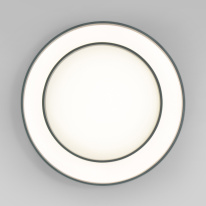 Купить Накладной светильник Eurosvet 90331/2 серый