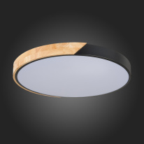 Накладной светильник Evoluce SLE200942-01 в интернет магазине Гет Лайт