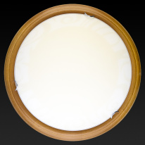 Купить Накладной светильник TOPLIGHT TL9620Y-00OA