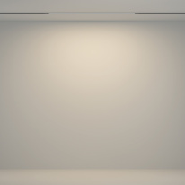 Купить с доставкой по Москве и России Maytoni Technical TR180-1-12WTW-B