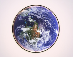 Цена на Детское бра Ambrella Light FW11135