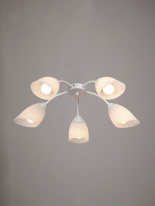 Цена на Накладная люстра Vitaluce V3194/5PL