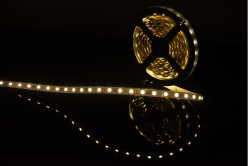 Купить Лента SWG SWG560-12-14.4-NW