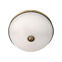 Фото Накладной светильник MW-Light 295013402