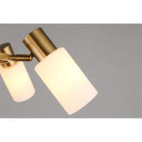 Купить с доставкой по Москве и России Подвесная люстра Omnilux OML-69103-06