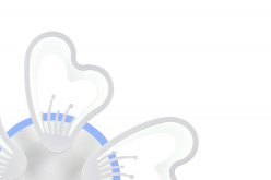 Цена на Накладная люстра Natali Kovaltseva LED LAMPS 81133