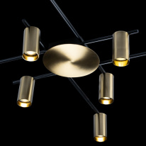 Цена на Накладная люстра LOFT IT 8120C-10