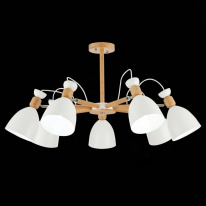Цена на Люстра на штанге Evoluce SLE103802-07
