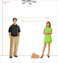 Цена на Накладная люстра MW-Light 267012005