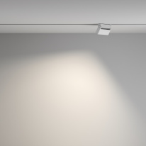 Цена на Светильник на шине Maytoni Technical TR077-2-10W4K-W