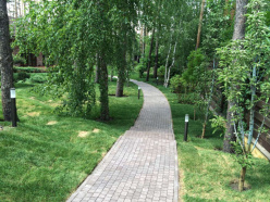 Цена на Садово-парковый светильник LD-Lighting LD-В8075