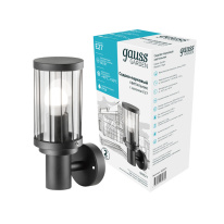 Купить Светильник настенный Gauss GD021