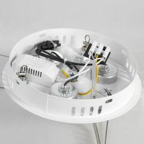 Купить с доставкой по Москве и России Подвесная люстра Lussole LSP-8602