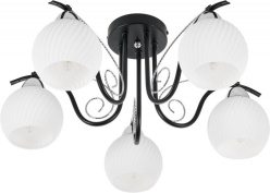 Фото Накладная люстра MyFar MR1570-5C