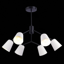 Цена на Люстра на штанге Evoluce SLE155942-06