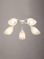 Фото Накладная люстра Vitaluce V31950/5PL