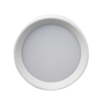 Влагозащищенный светильник LeDron BARREL White в интернет магазине Гет Лайт