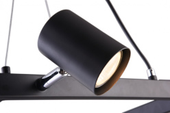 Цена на Подвесной светильник Vele Luce VL10132P04