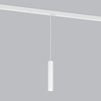 Купить Светильник на шине Elektrostandard Slim Magnetic P01 Трековый светильник 6W 4200K (белый) 85014