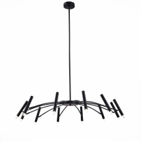 Купить Люстра на штанге ST-Luce SL1214.402.12