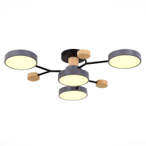 Купить Люстра на штанге Evoluce SLE6006-702-04