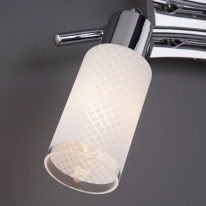 Цена на Спот Eurosvet 20030/2 хром