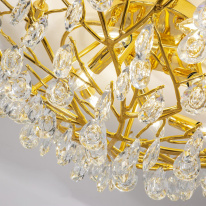 Купить Накладная люстра Favourite 4162-10C